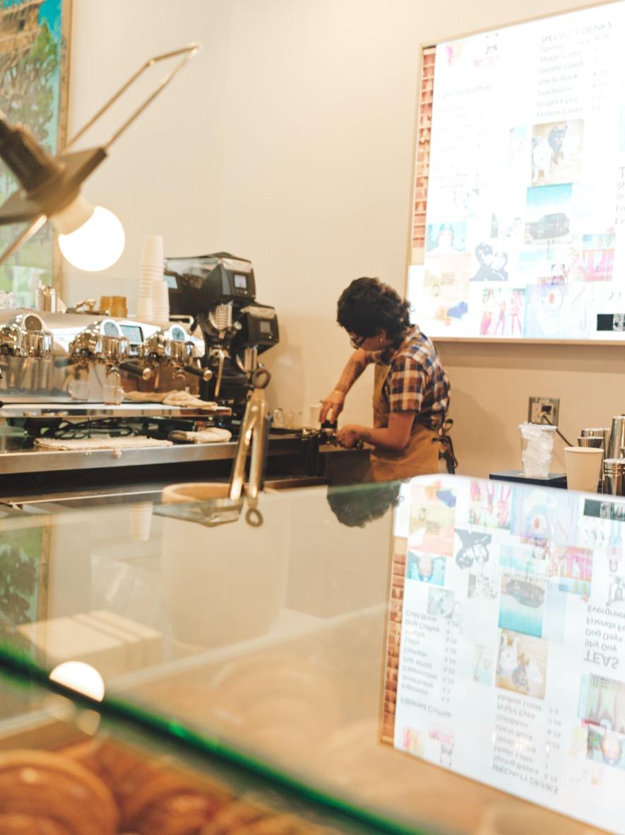 Jurassic Magic Image