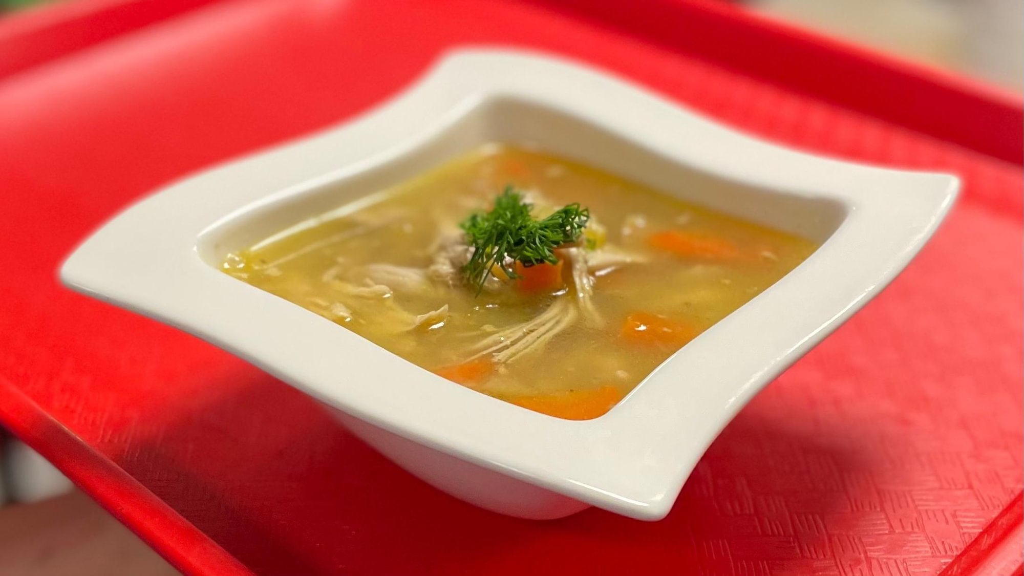 Chicken & Veggie Soup