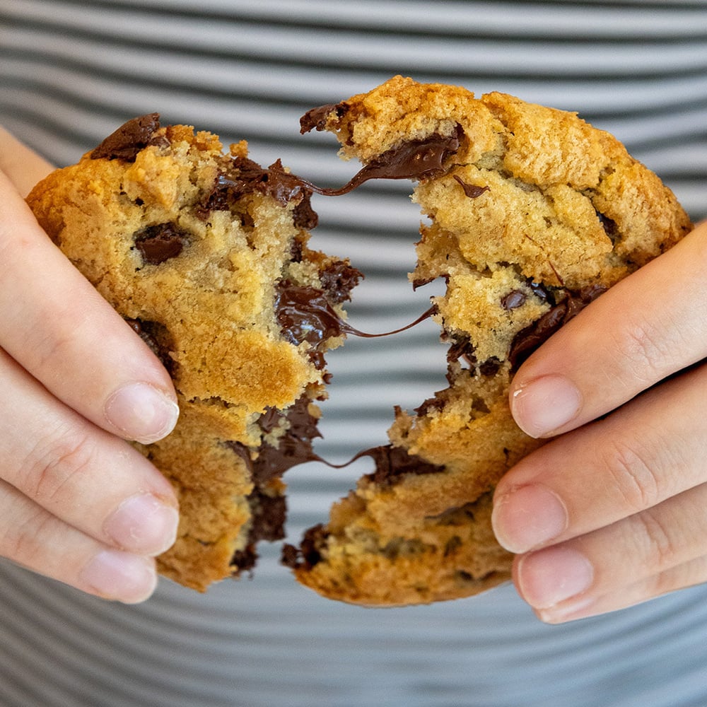 Chocolate Chip Cookie