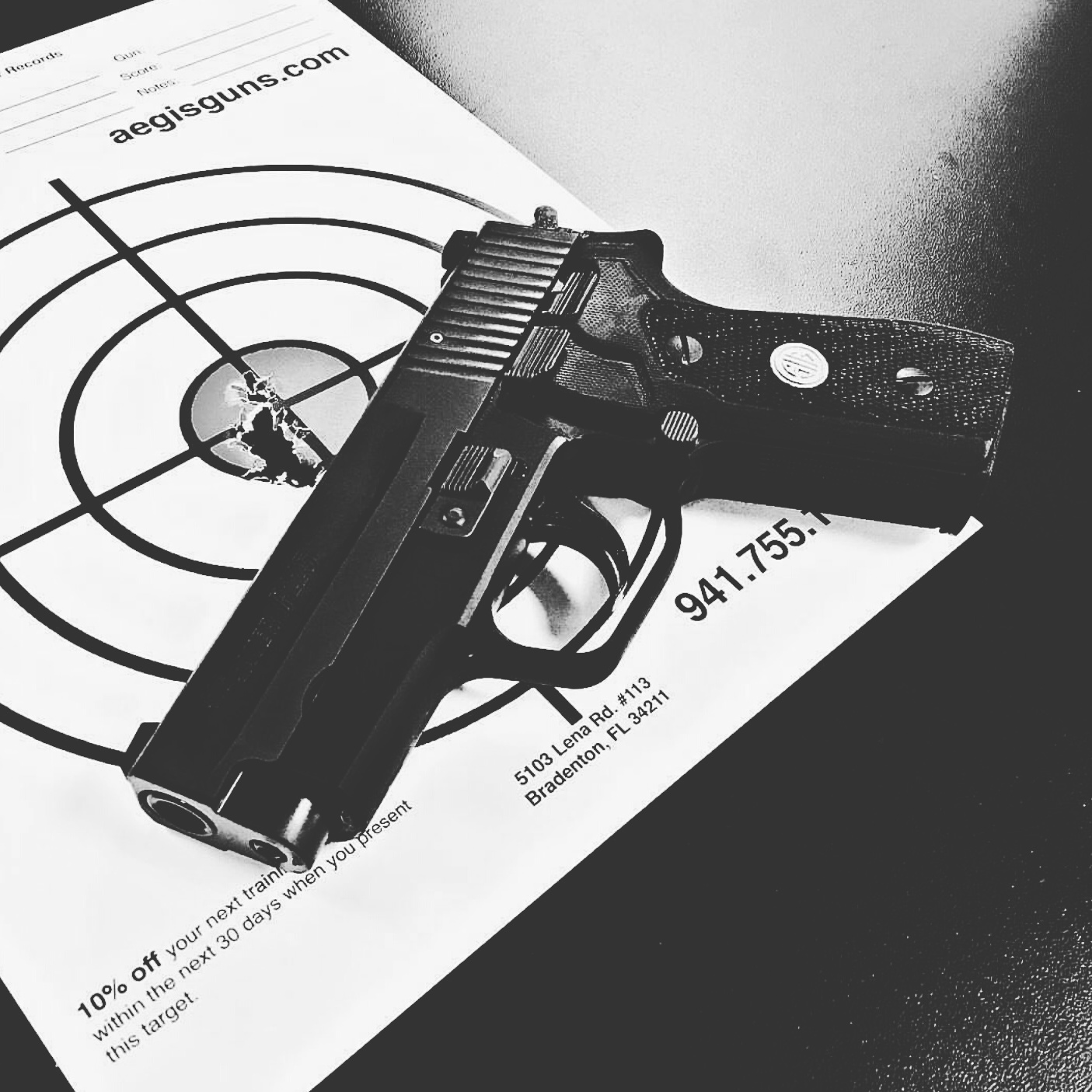 Nationwide Security Academy Logo