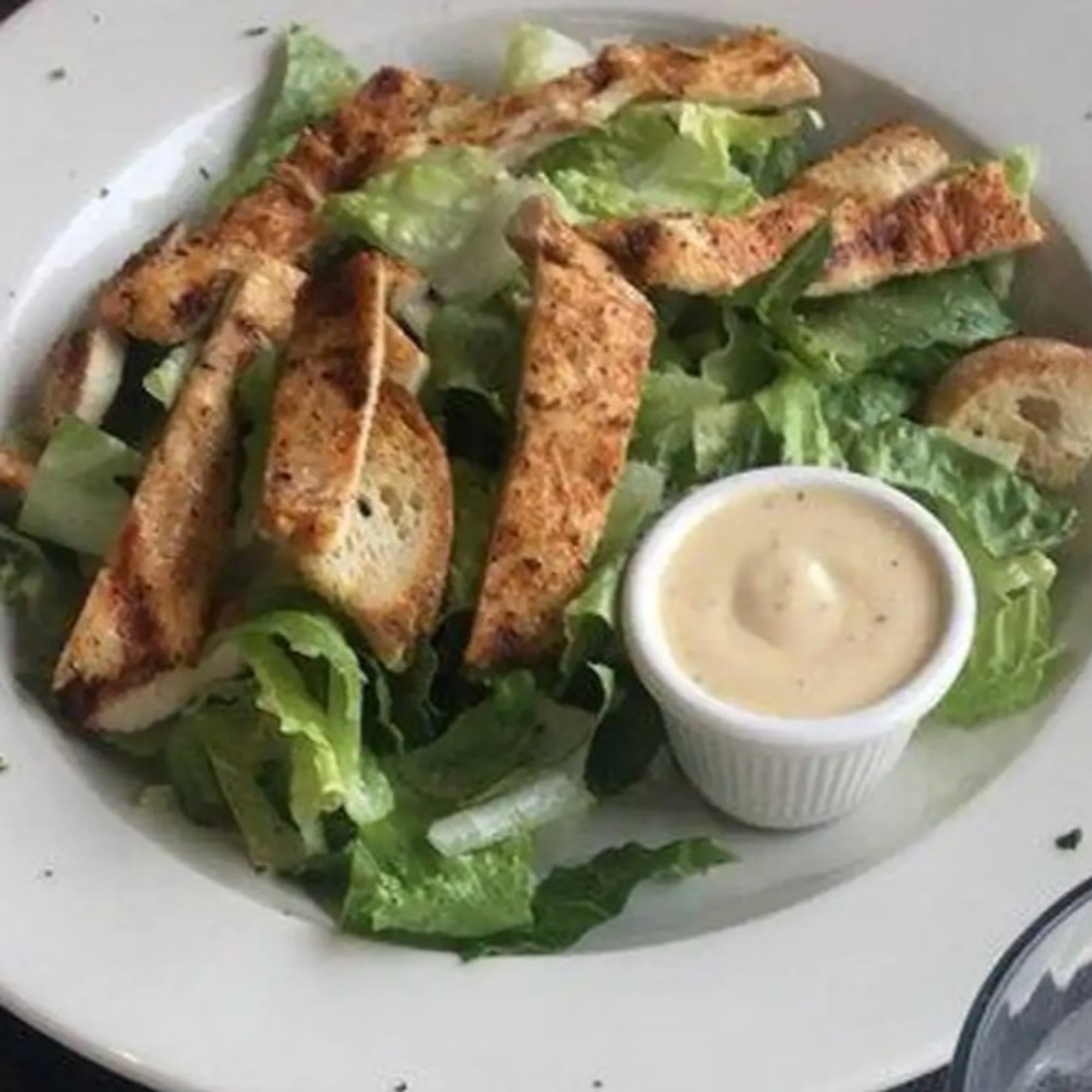 Grilled Chicken Caesar Salad Lunch Special