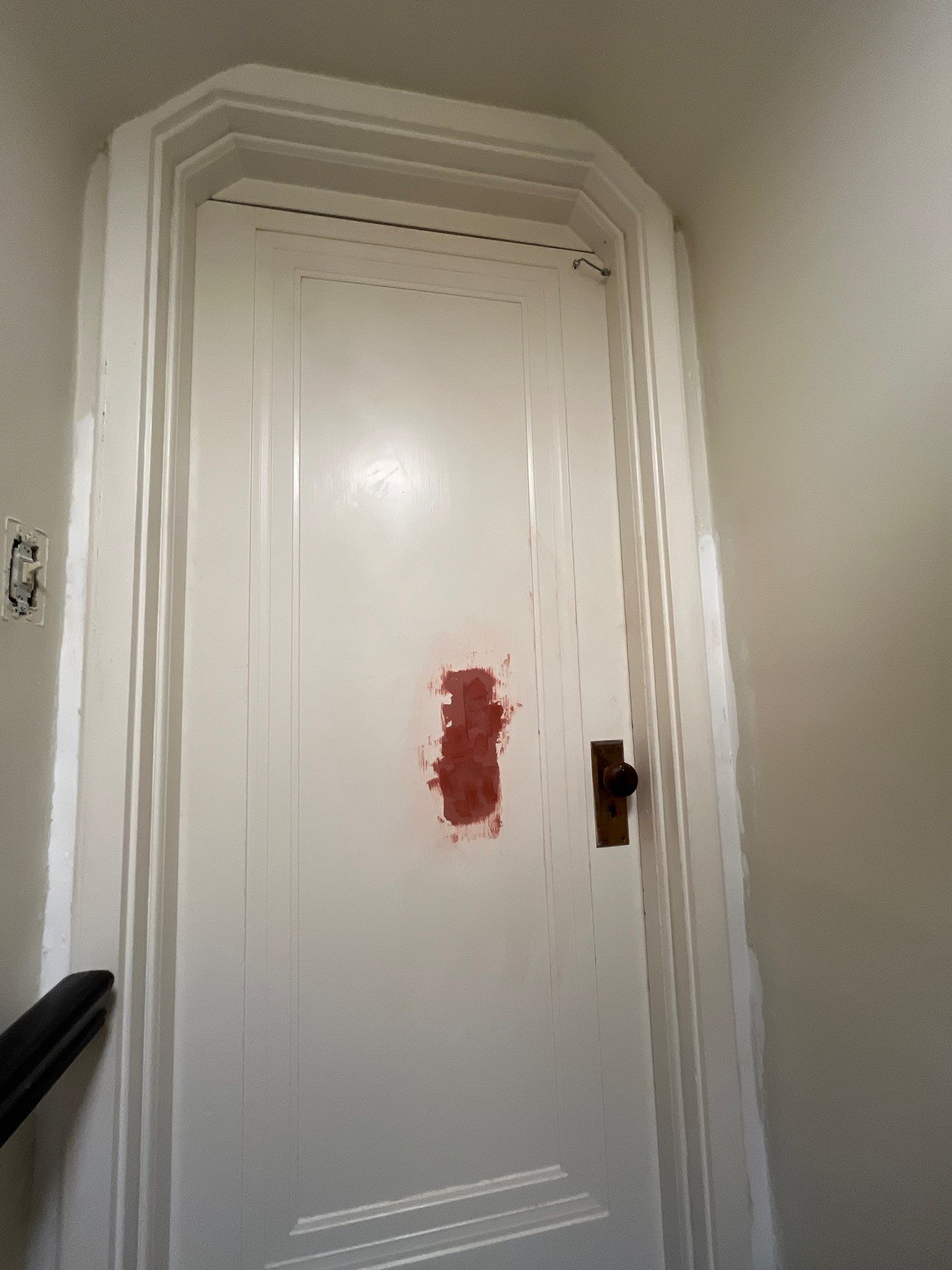 The Final Coat Image