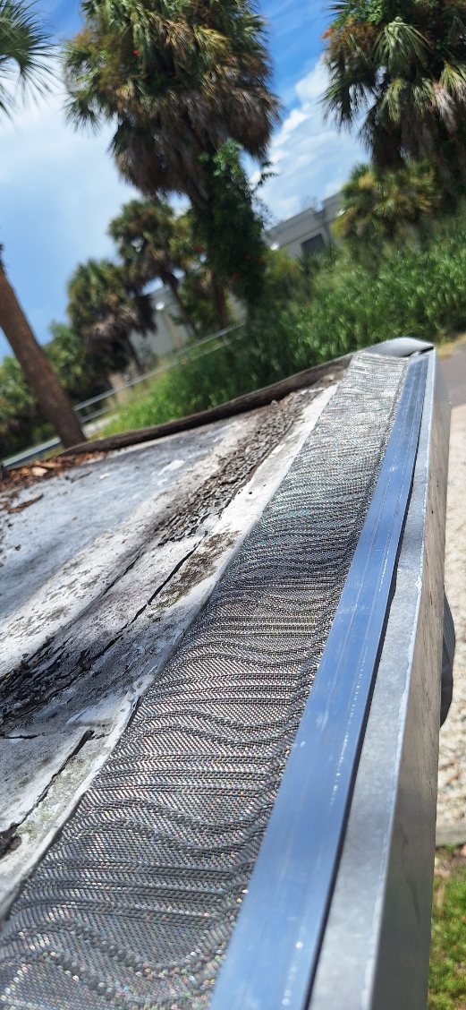 Window Hero Northern Tampa Image