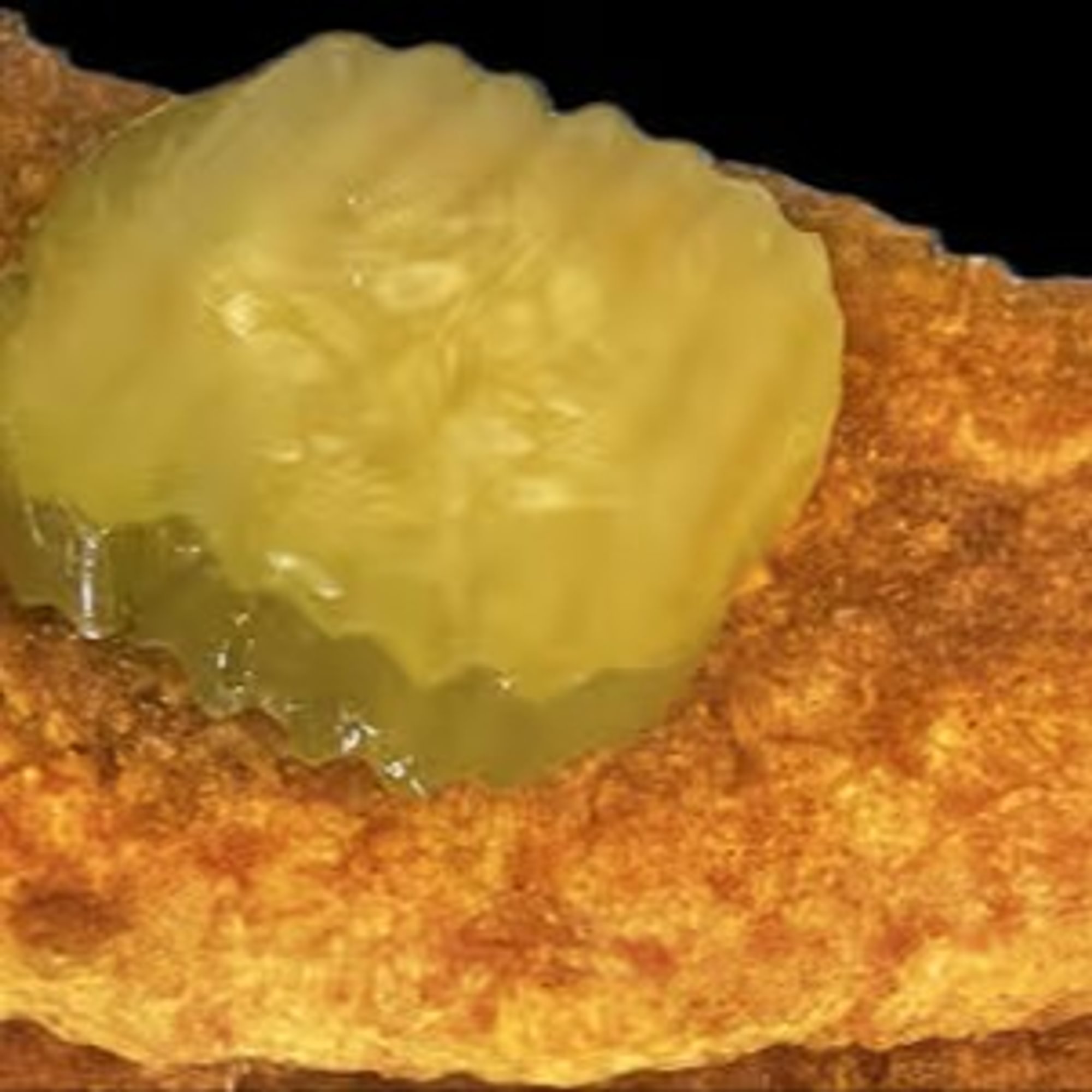 Fish Fillet