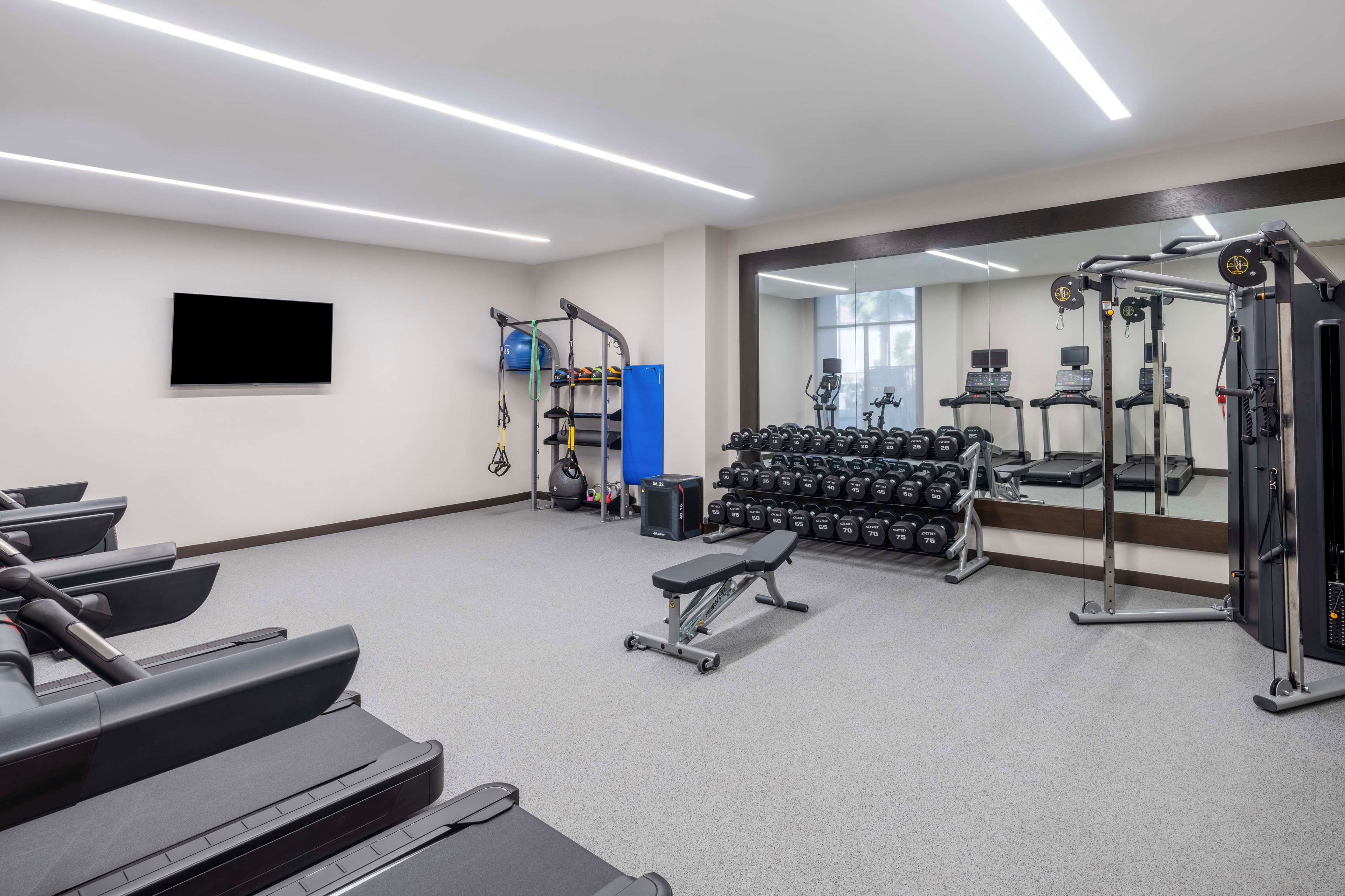 Health club  fitness center  gym