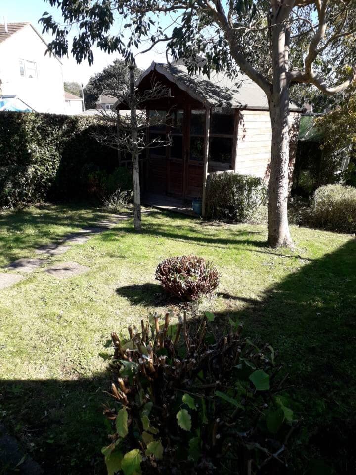 Images County Tree Services