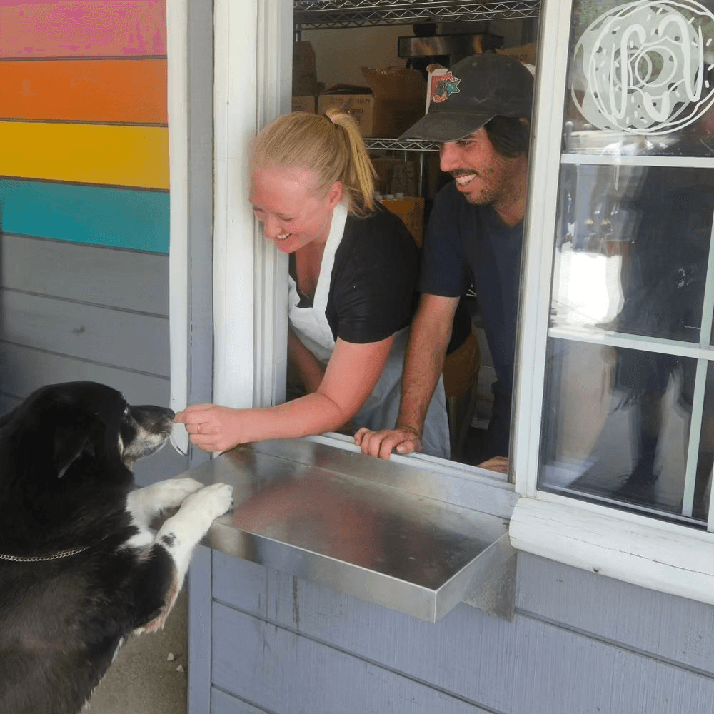 Donate Dog Donut to a Shelter Dog!