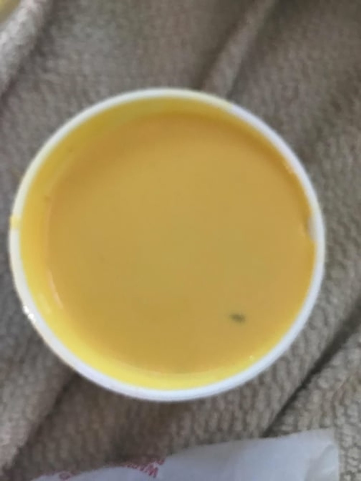 Chili Con Queso