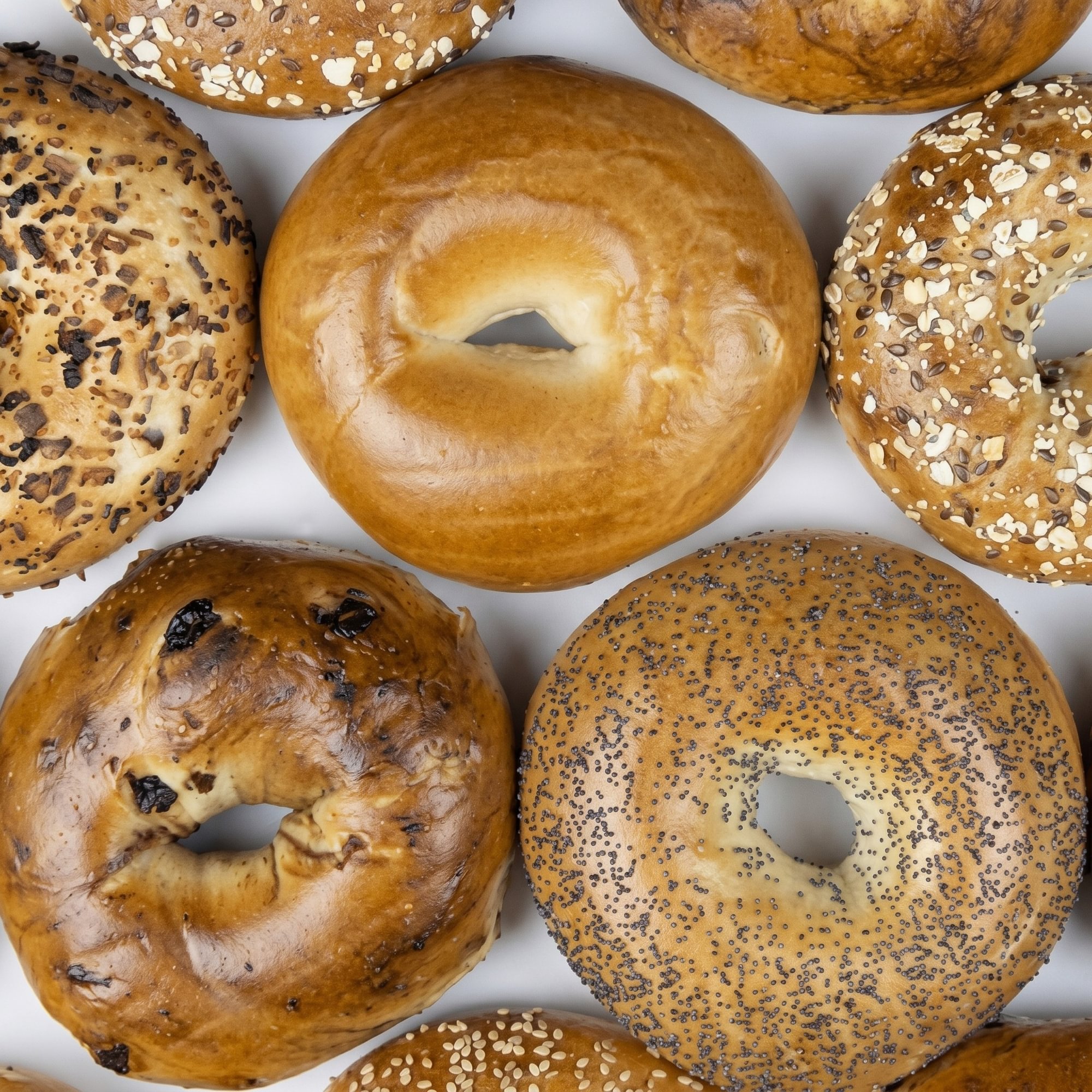 Toasted Mini New York Bagel