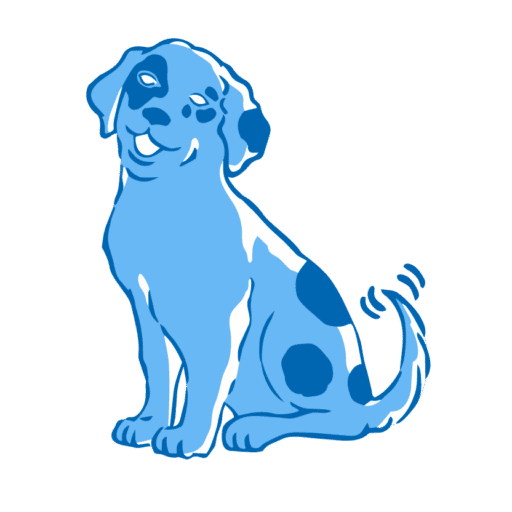 Top Notch Kennels