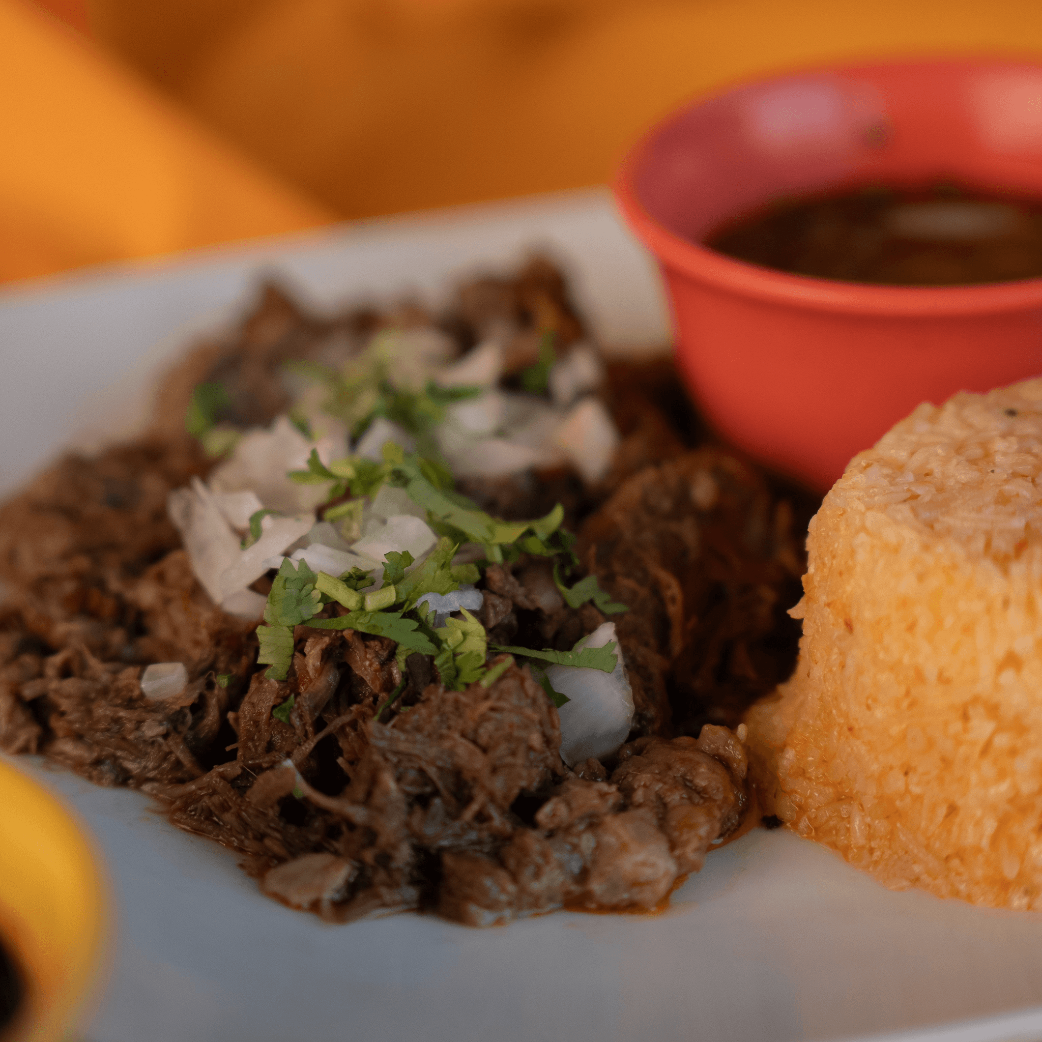 Cochinita Pibil Plate