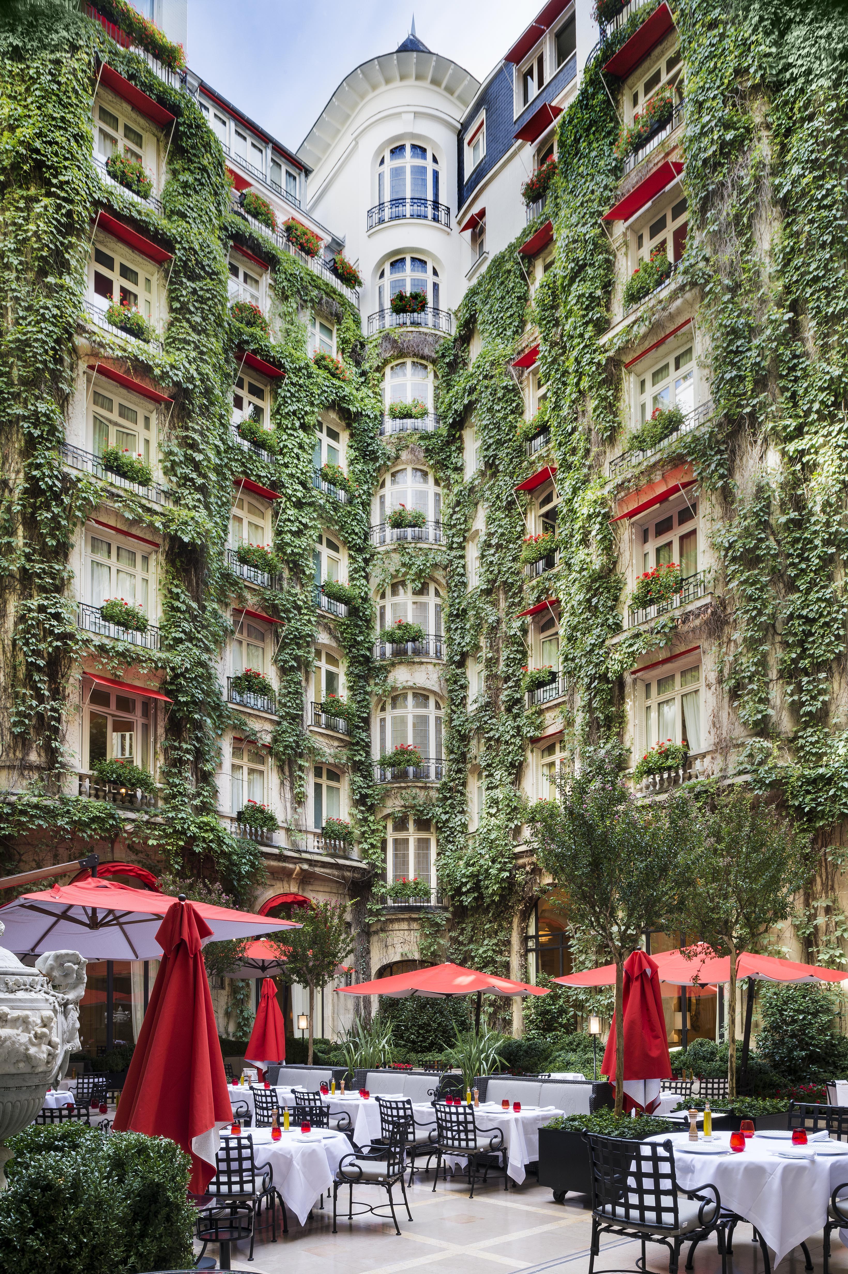 Images La Cour Jardin