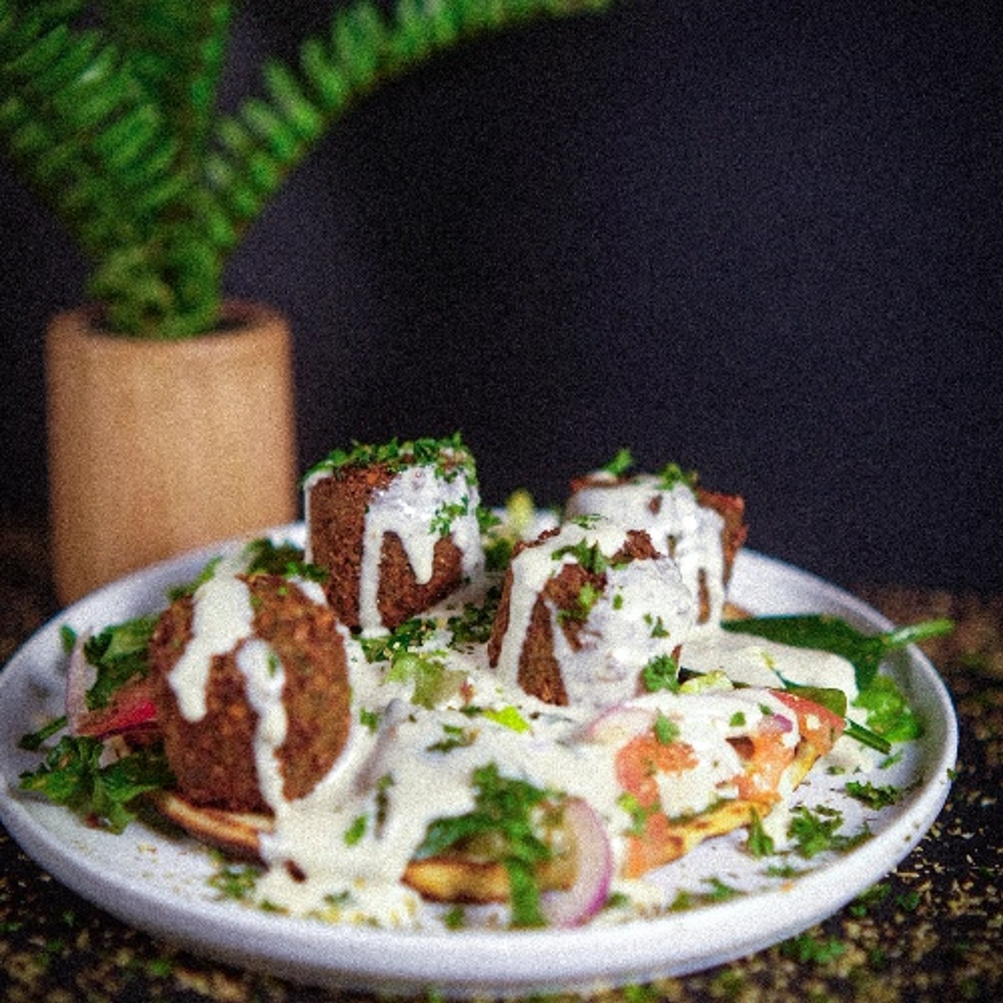 Falafel Pita