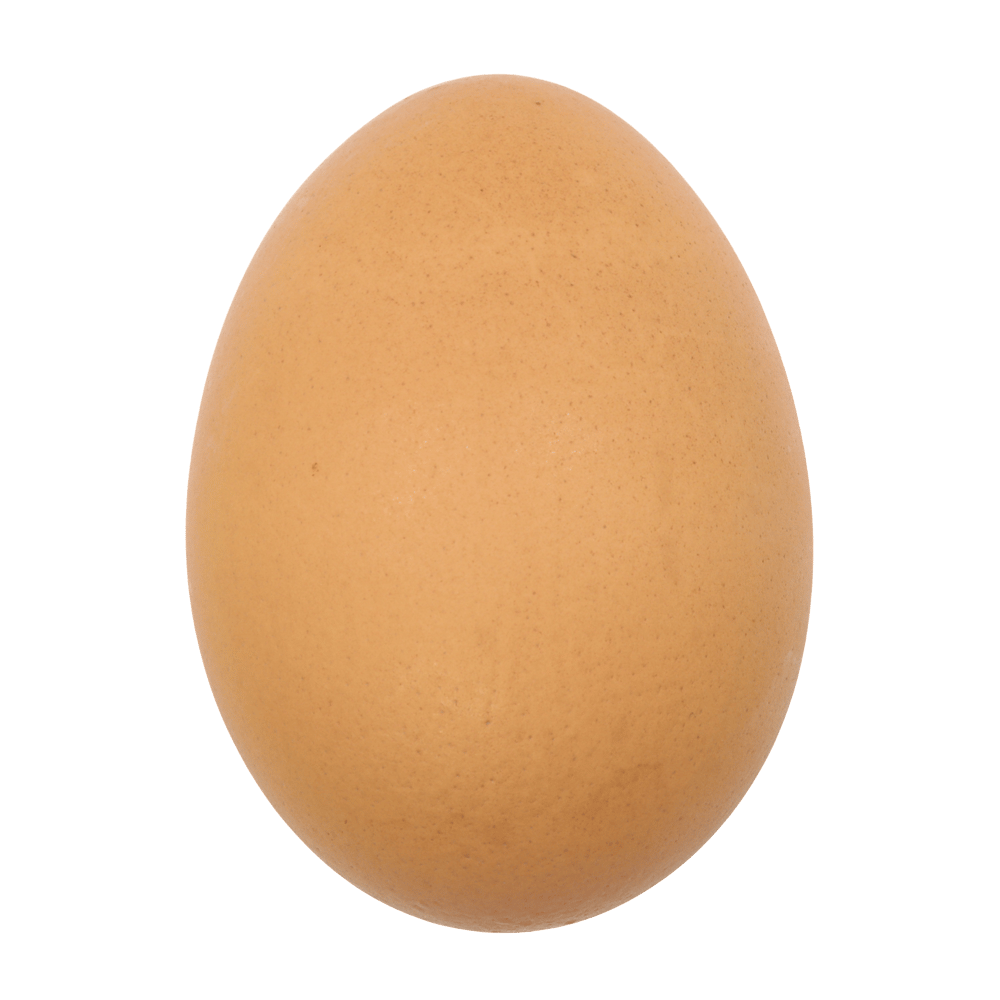 ONE EGG