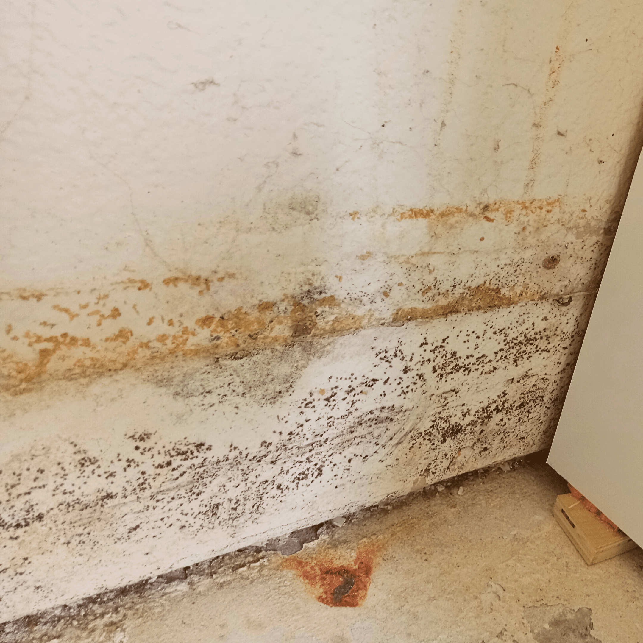 Coastal Risk Management Image