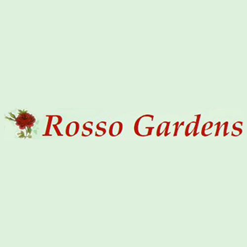 Rosso Gardens