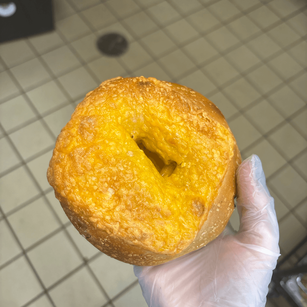 Jalapeno Cheddar Bagel