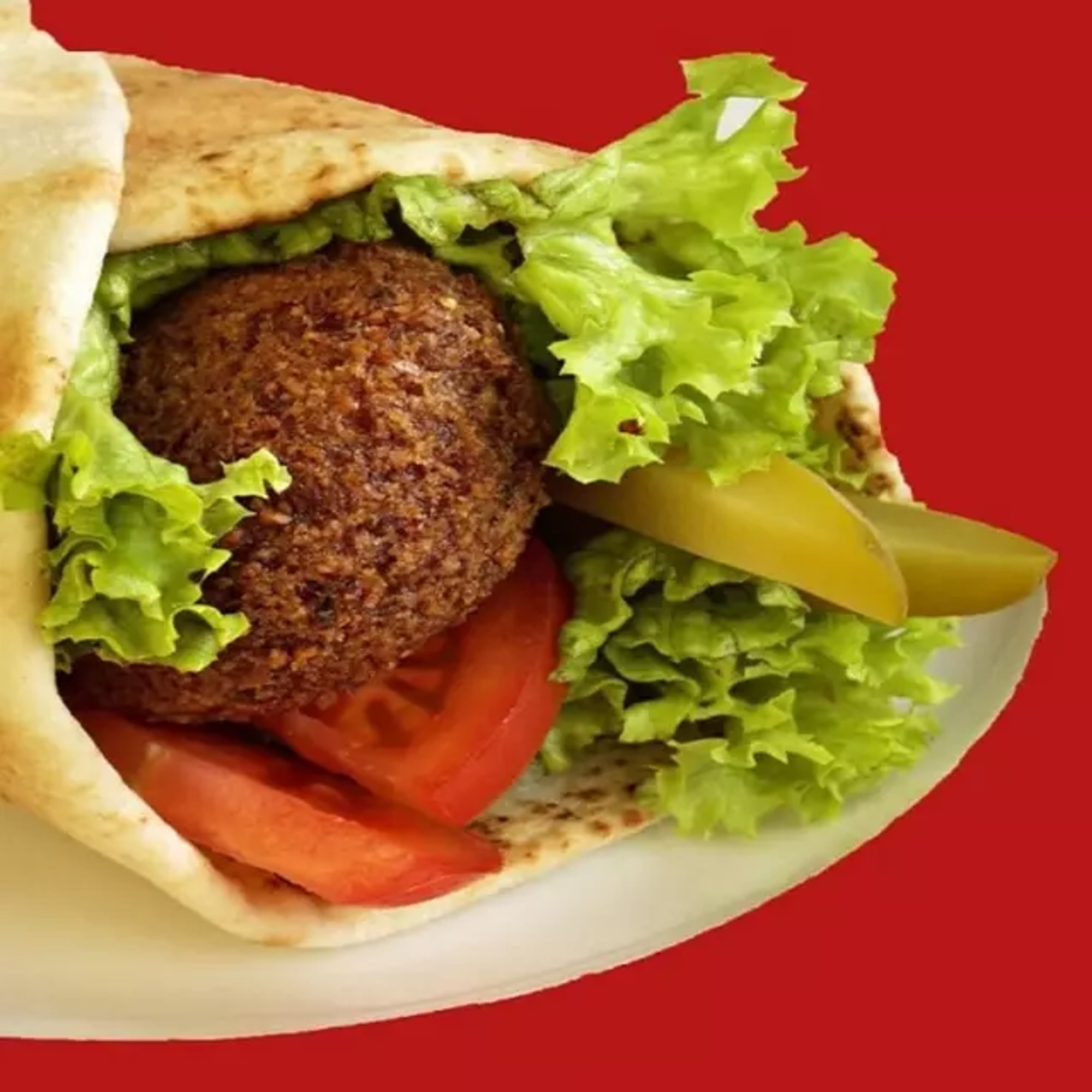 Falafel Pita Wrap Combo