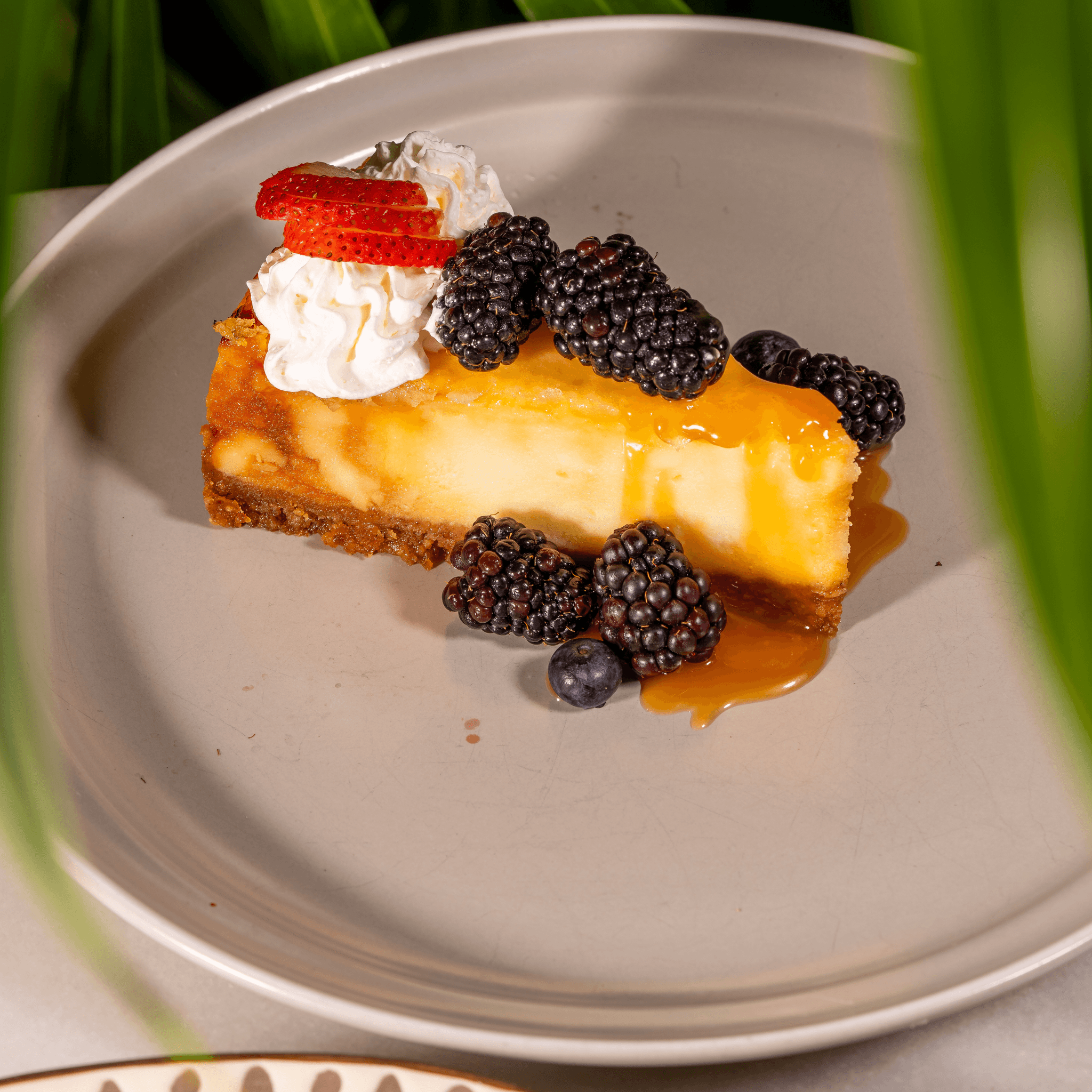 Creme Brulee Cheesecake