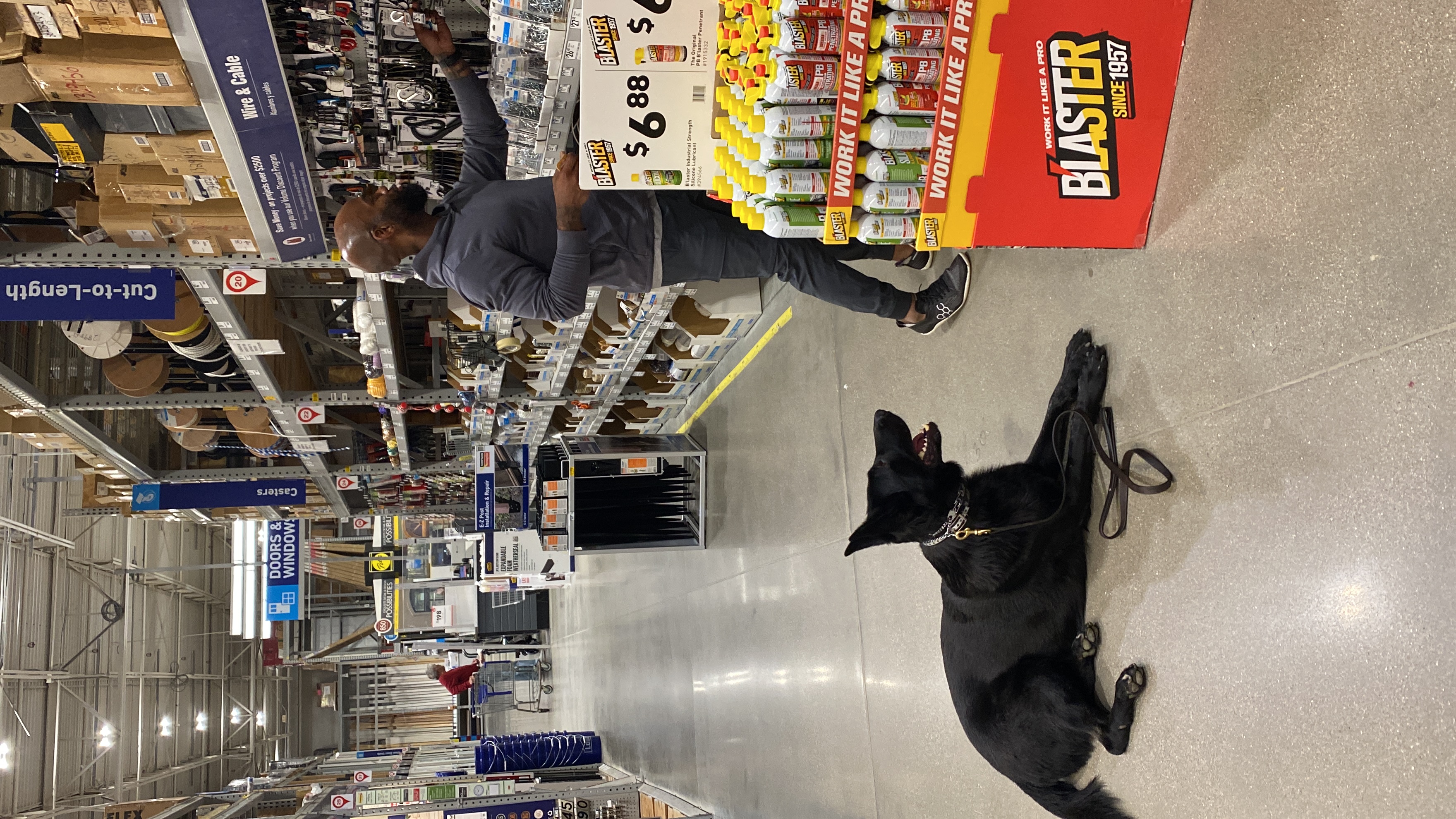 Underdog K-9 Academy LLC Image