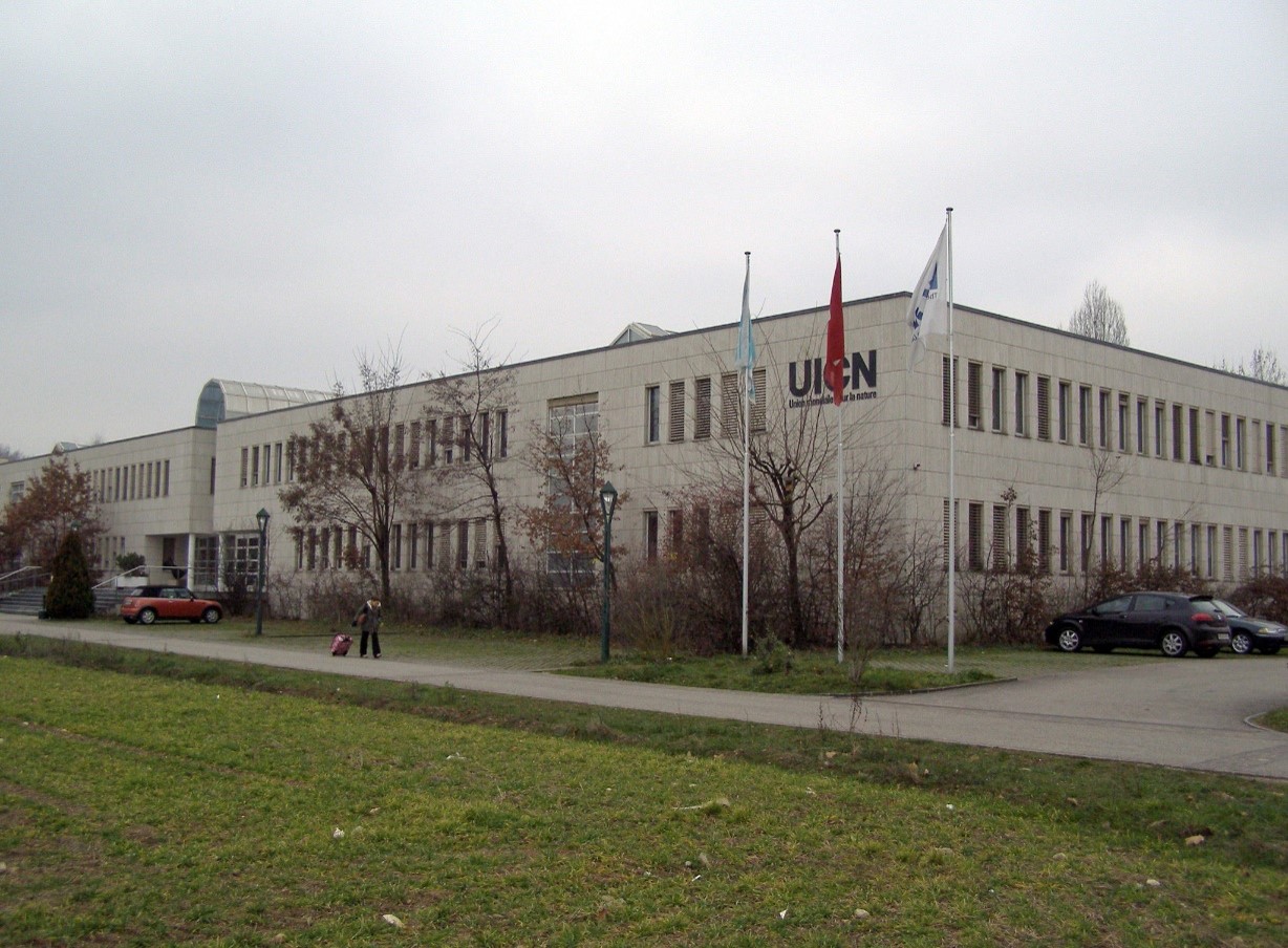 Galerie-Thumbnail