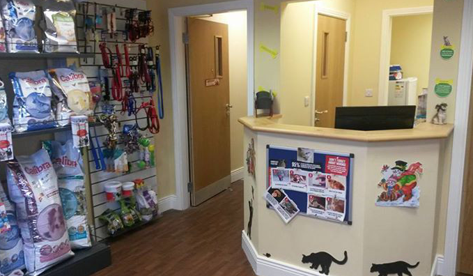 Newcastle West Pet Vet Clinic 2