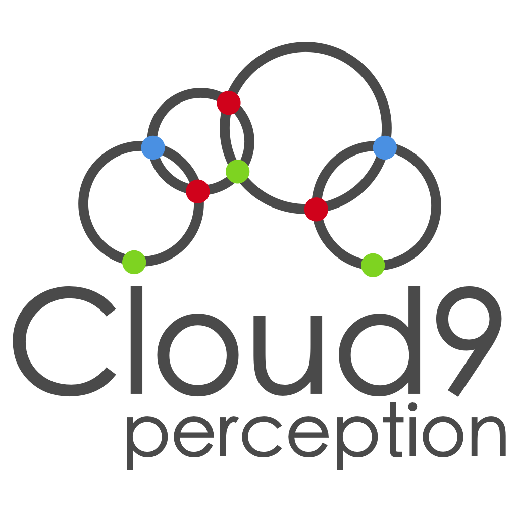 Cloud 9 Perception Logo