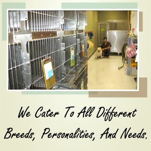 Best Care Animal Hospital Photo
