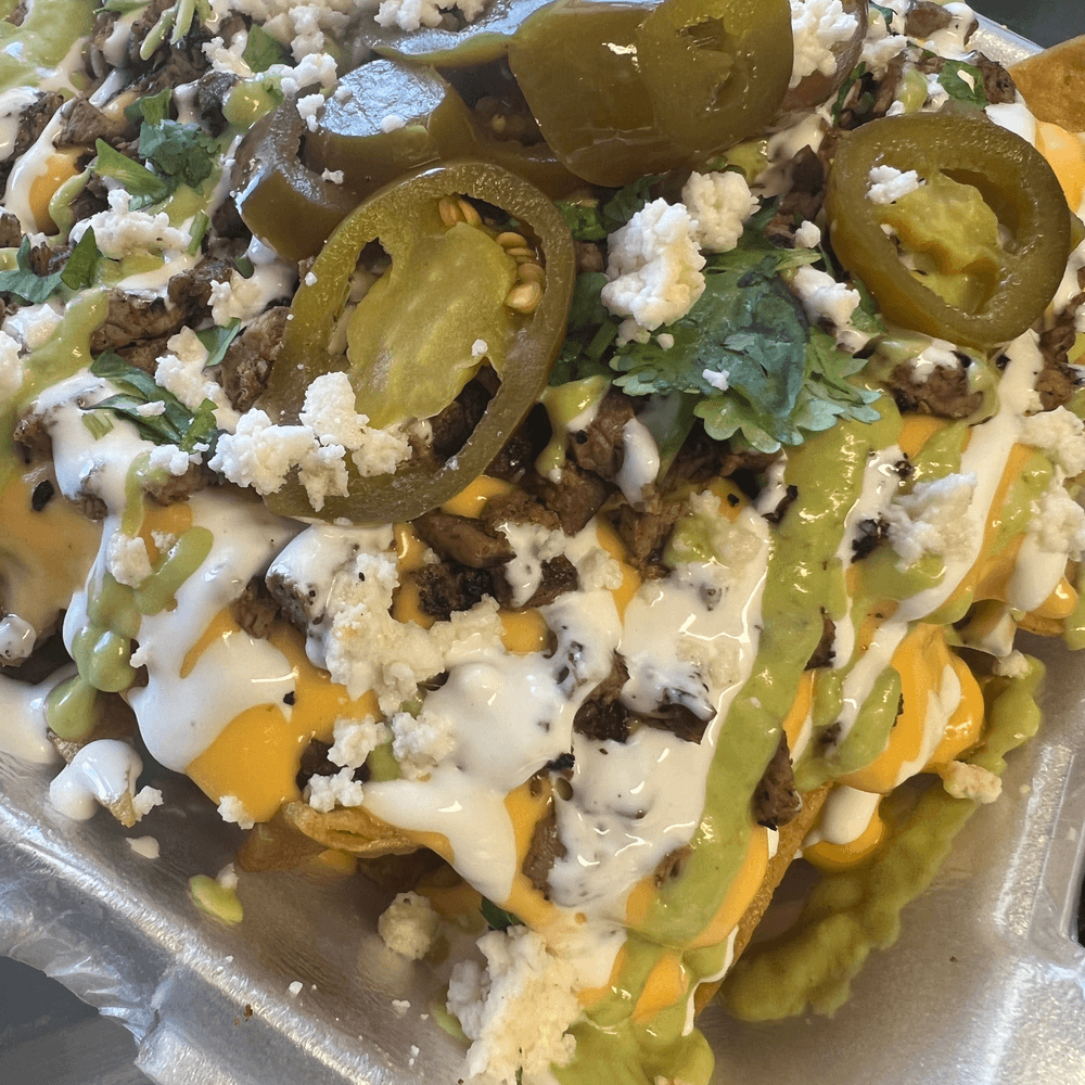 Loaded asada fries