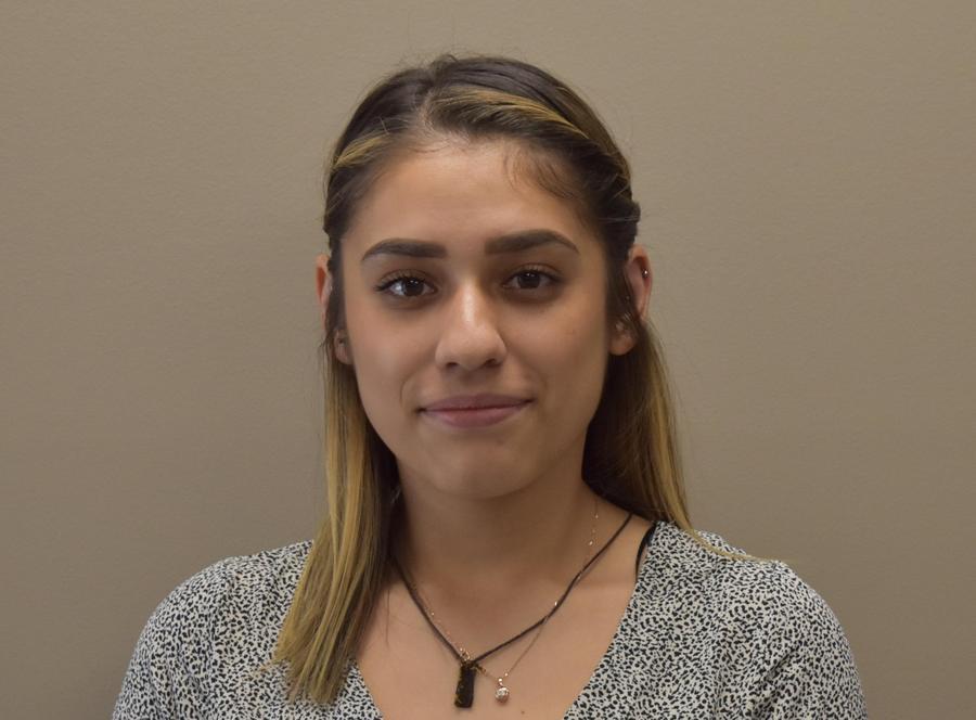 Professional Roofing Technology Image