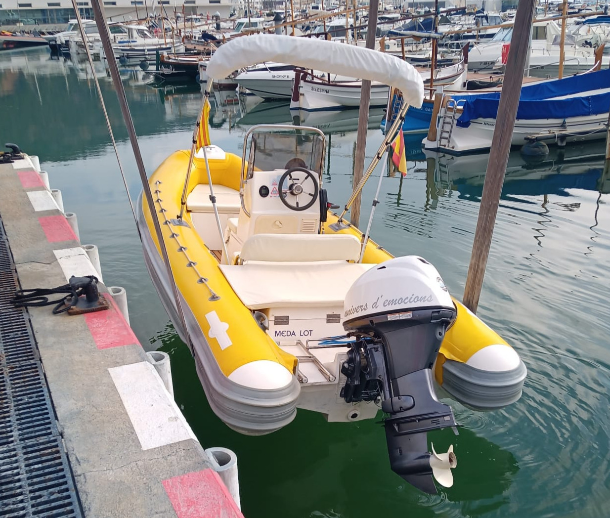 Galería en miniatura