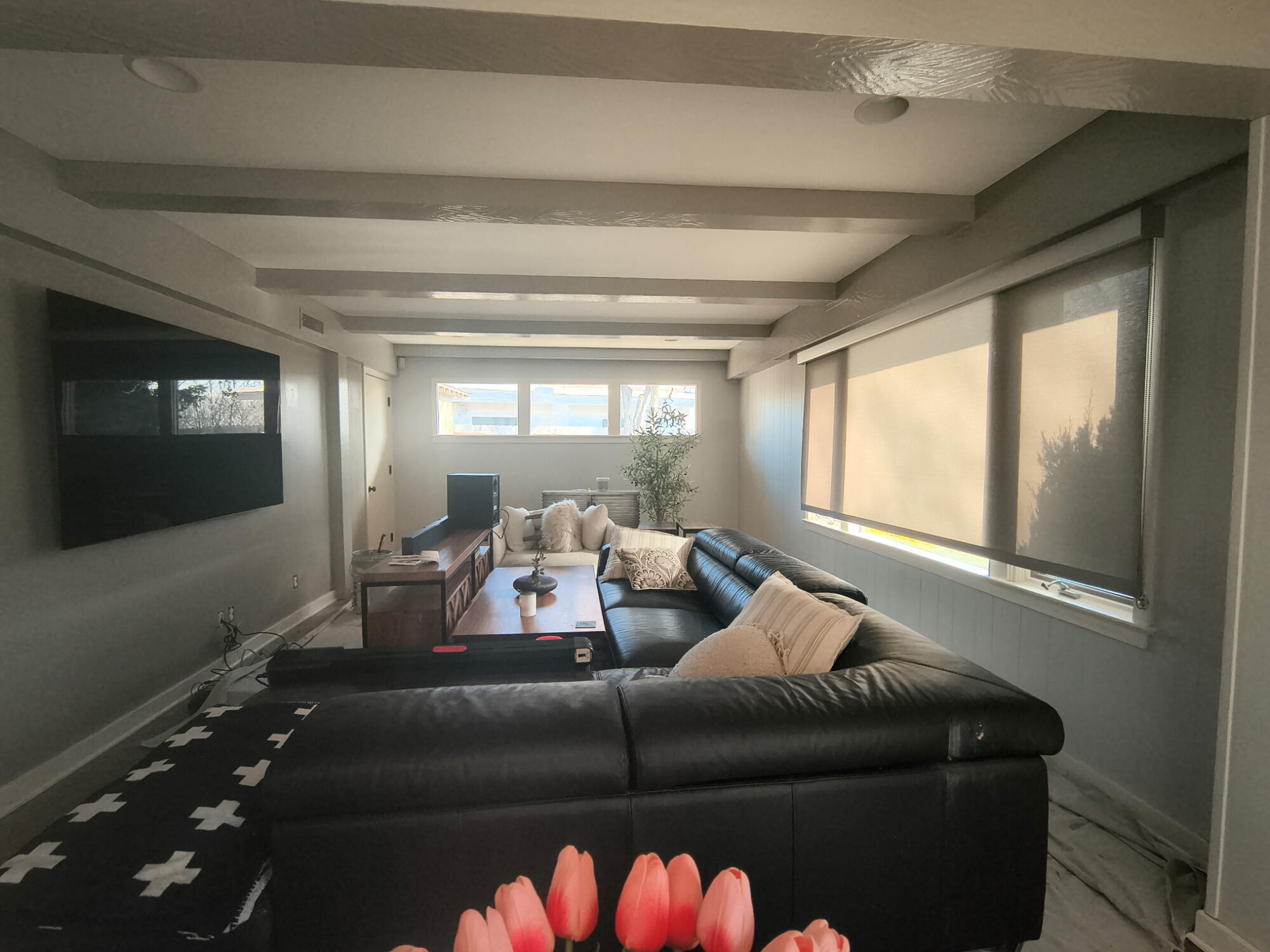 Sdo precision painting Image