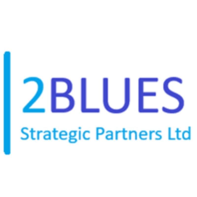 2BLUES Strategic Partners Ltd logo