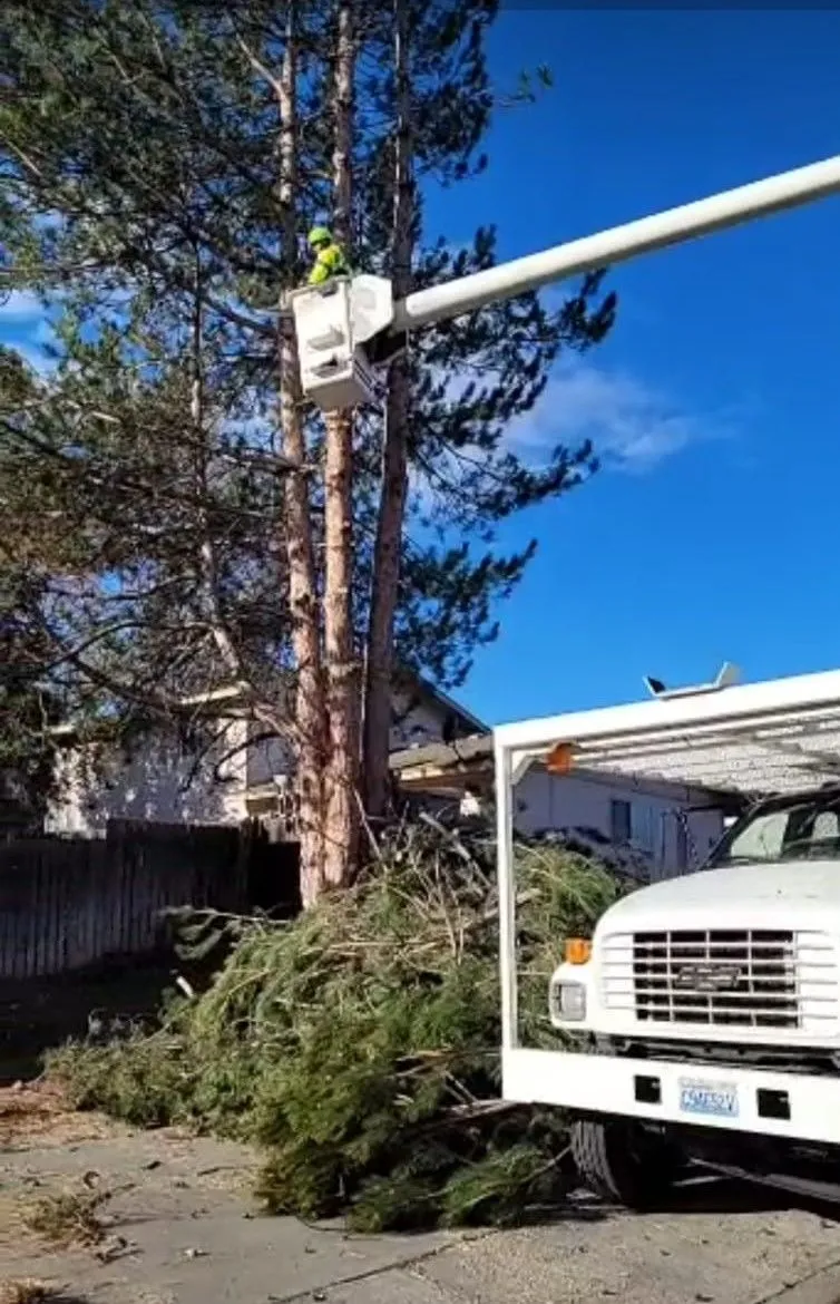 Supreme Tree Service Image