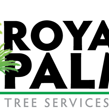Royal Palm Tree Services SRQ