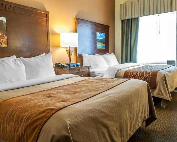 Images Comfort Inn Midtown