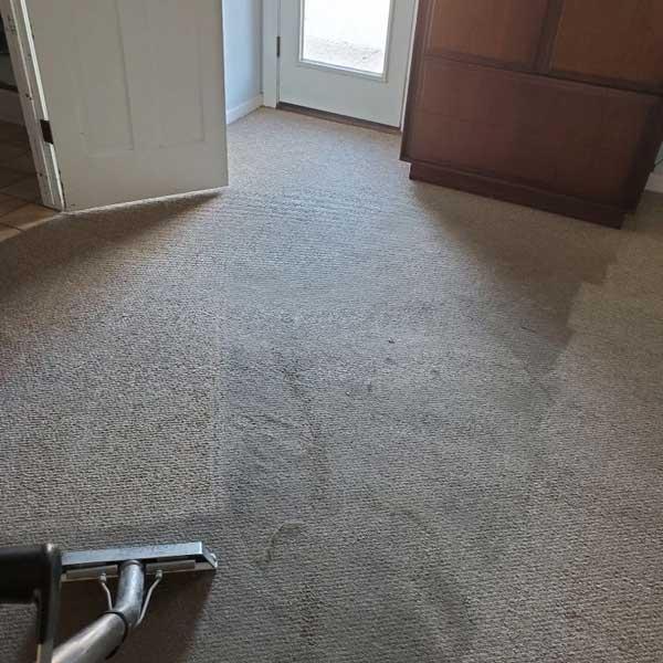 Eco-Green of Arizona Logo