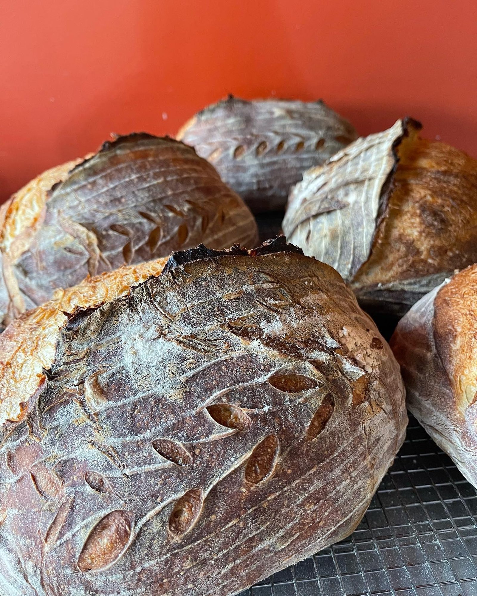 Country Sourdough Bread Loaf