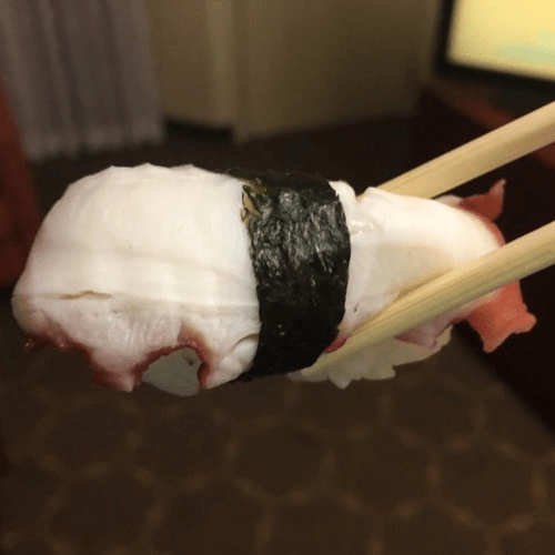 Octopus (Tako) SU
