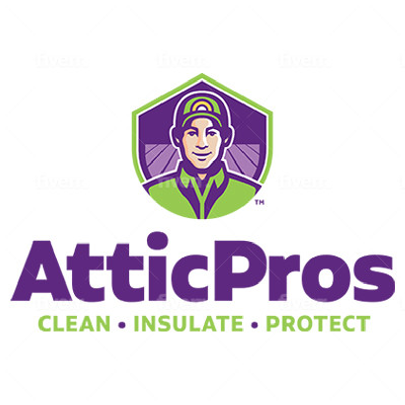 Attic Pros