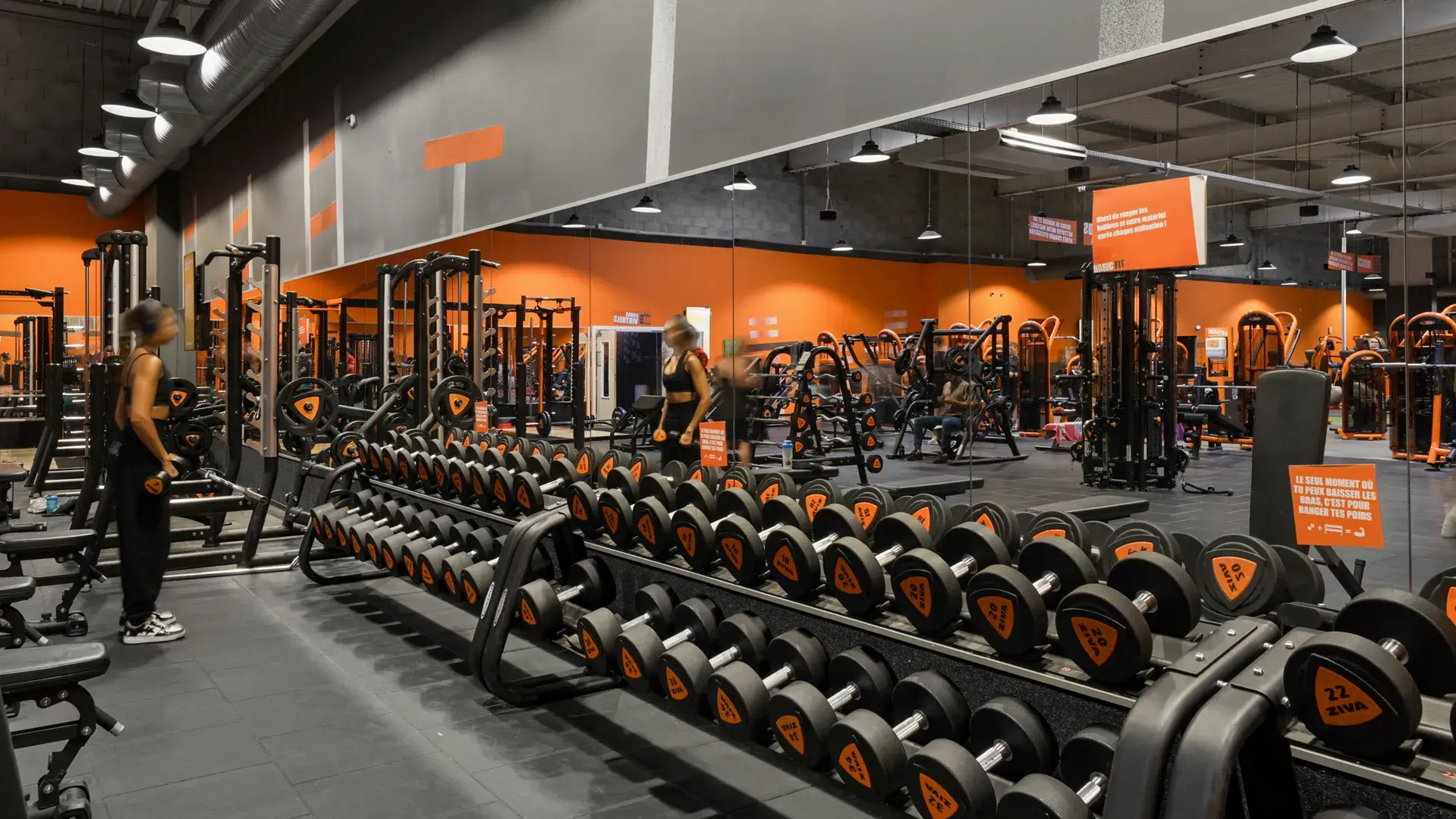 Miniature de la galerie