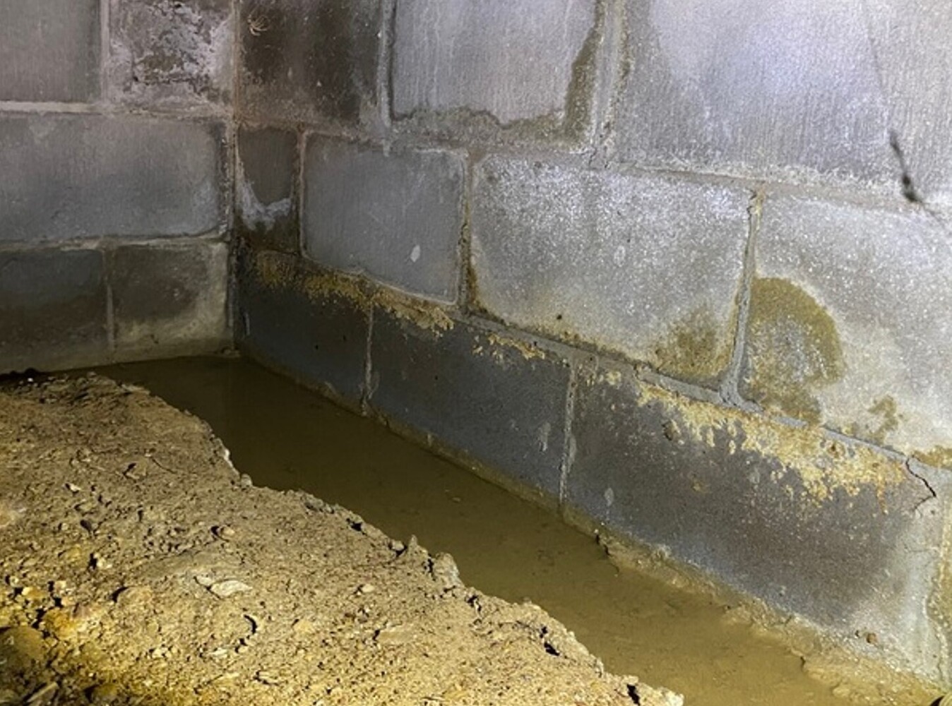 Ox Foundation Solutions Image