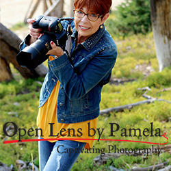 Open Lens by Pamela Photography Logo