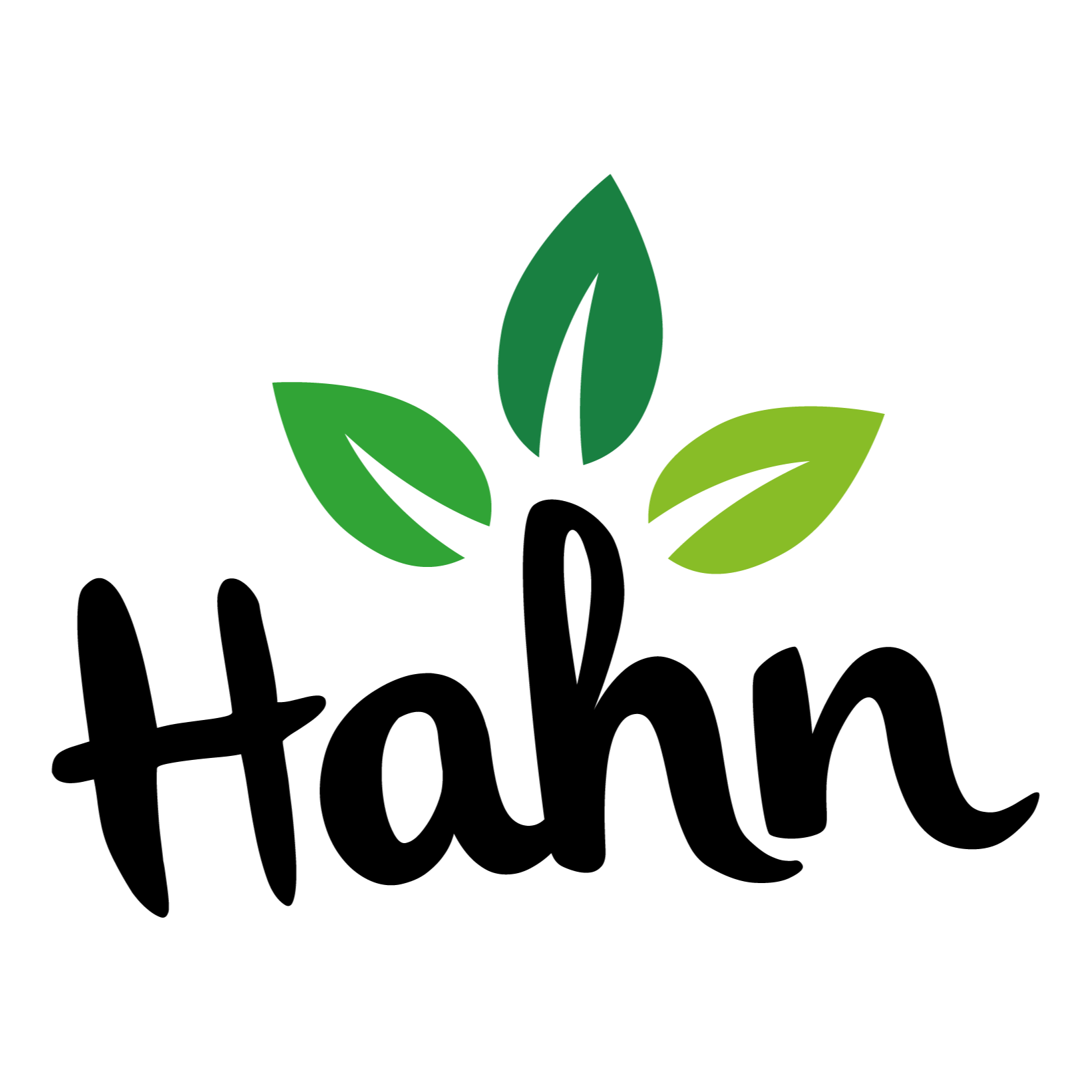 Logo von Garden Concept Hahn