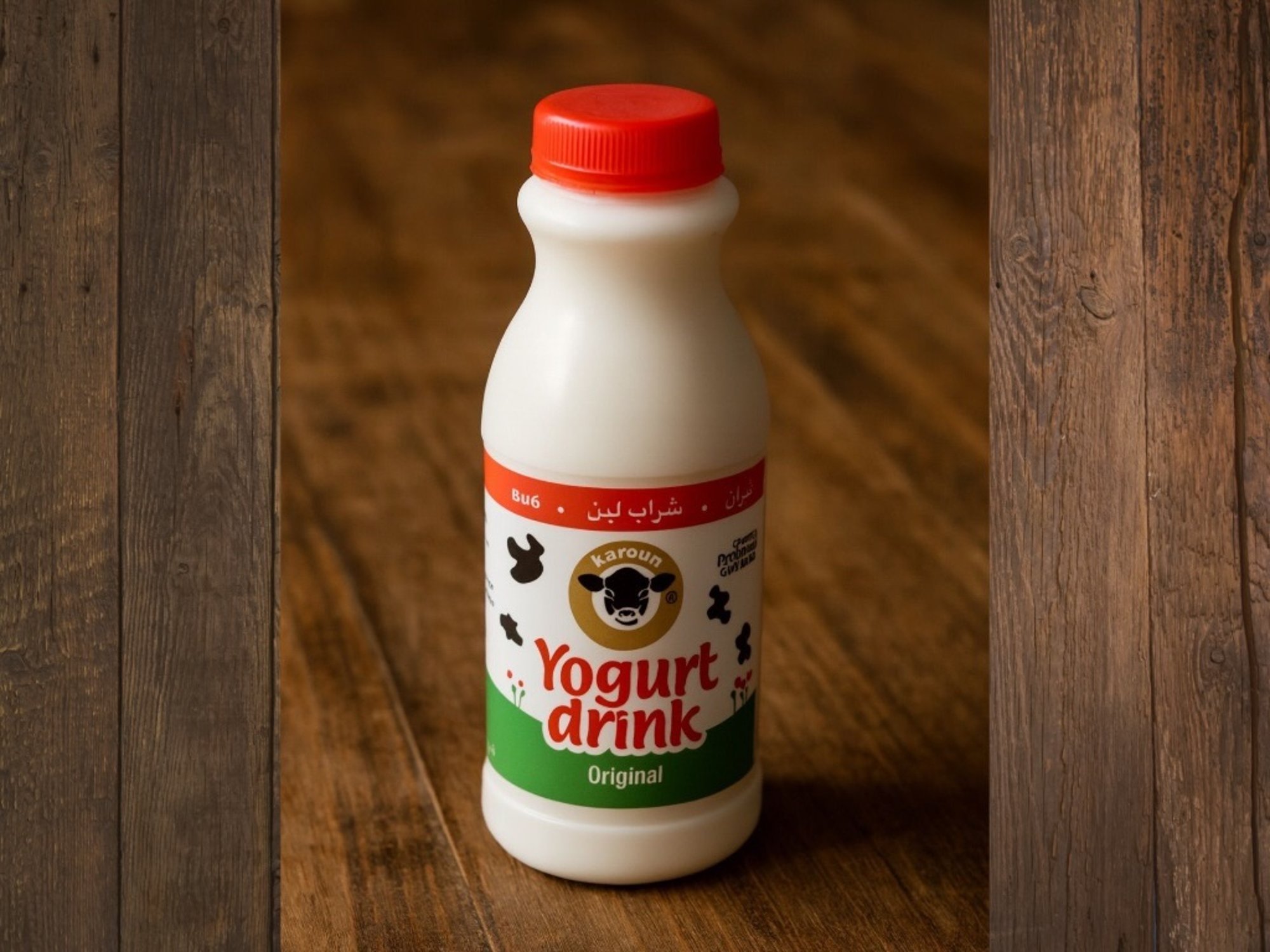 Karoun Yogurt Drink