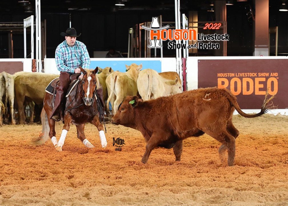 CTG Horse, LLC Image