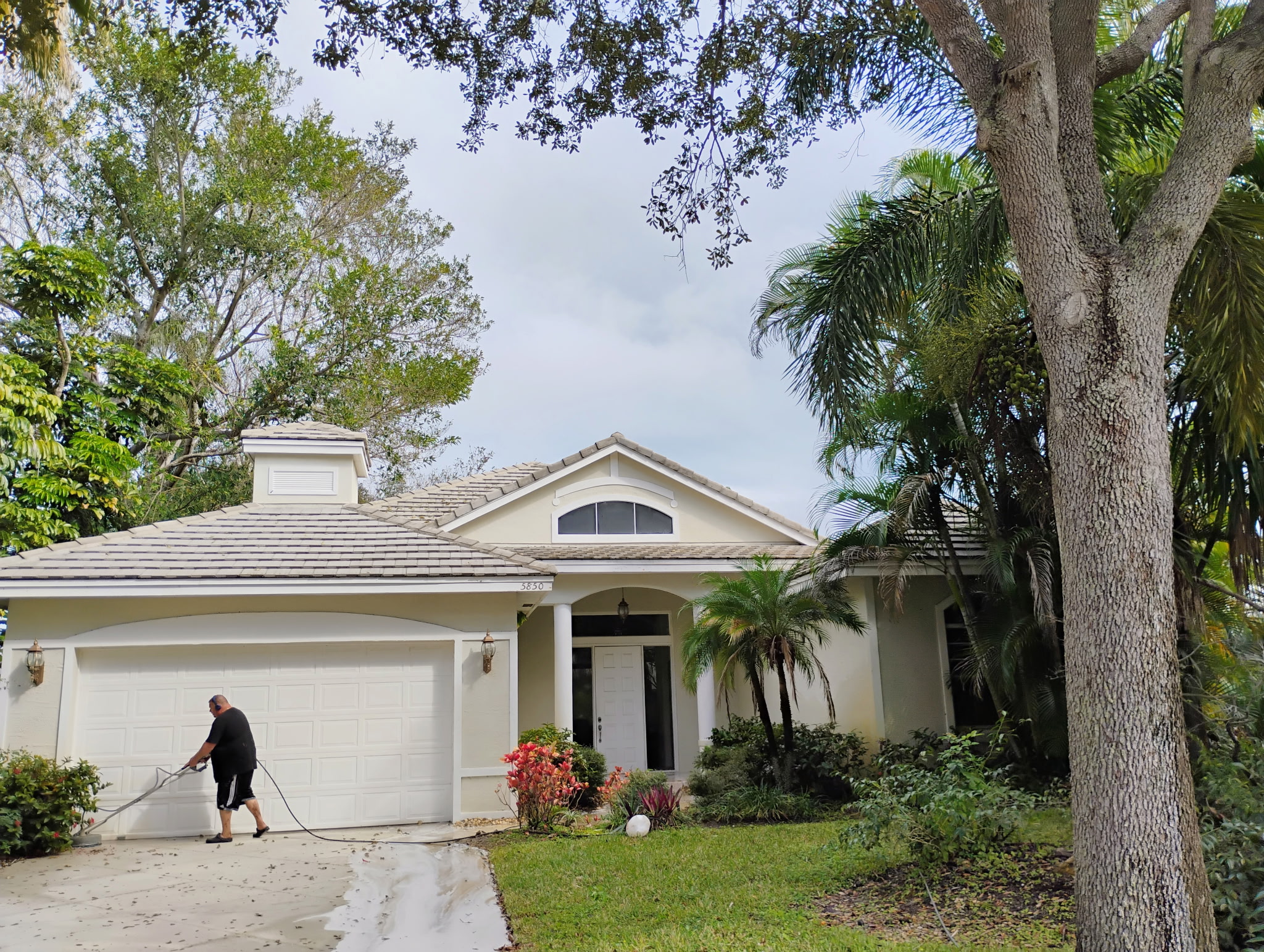 Painting and Pressure Washing by Michael Image