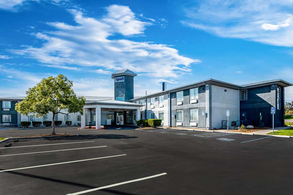 Spark by Hilton Williams Logo