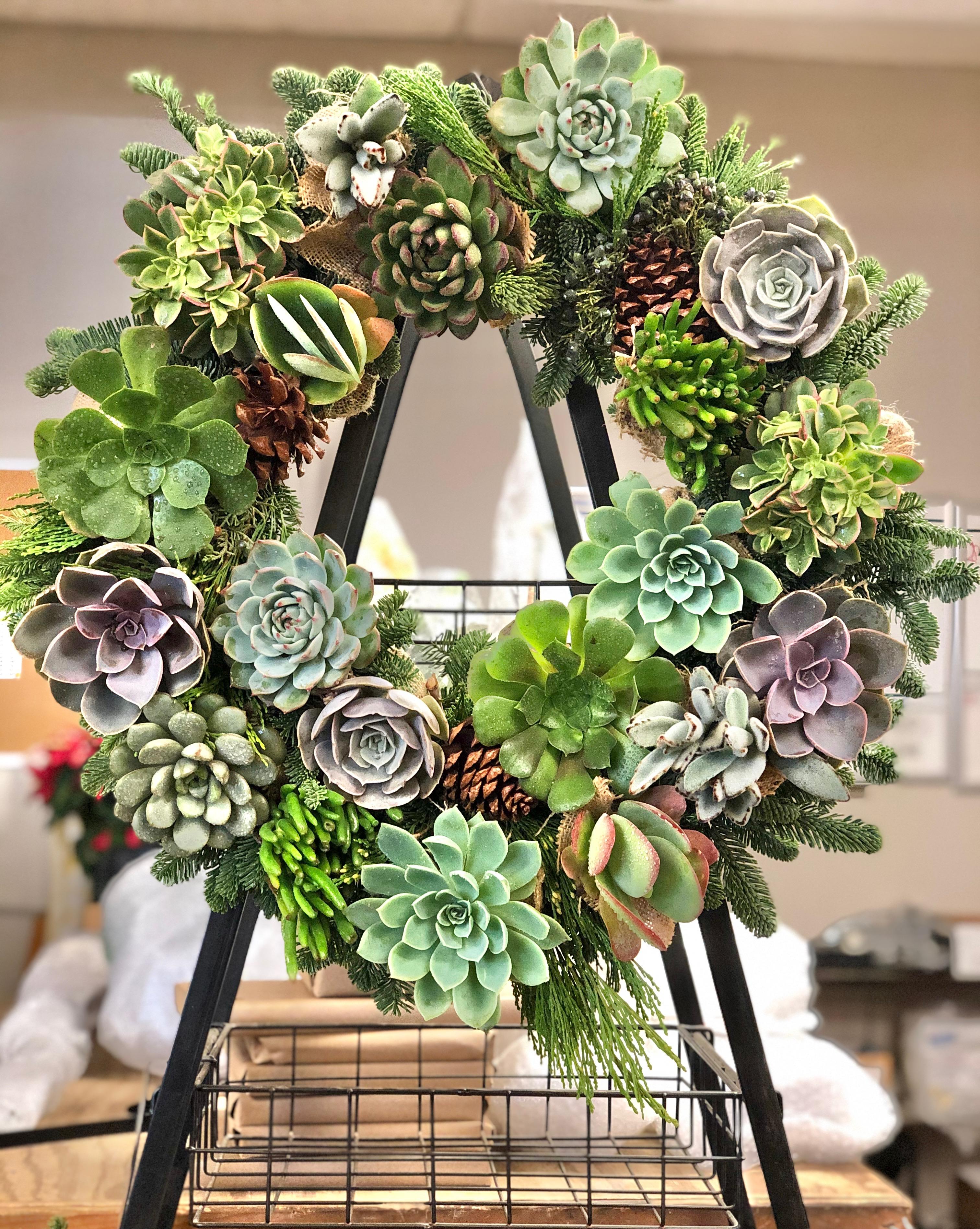 Moller’s Garden Center Image