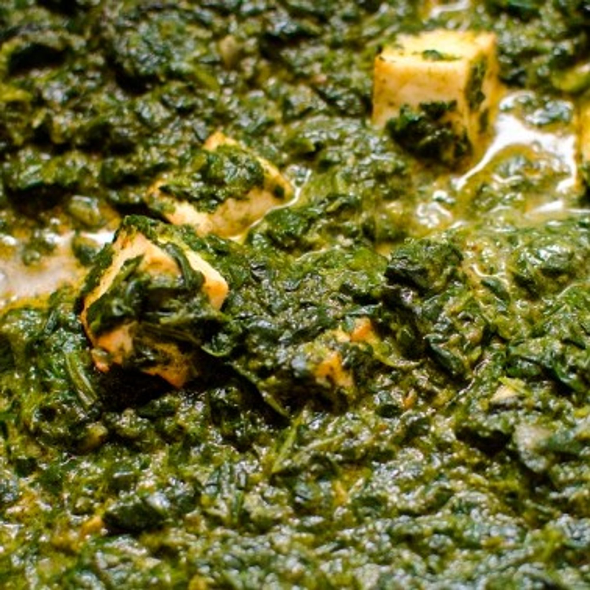 Palak Paneer